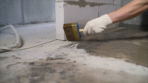 SJ Waterproofing Pros Waterproofing coverage map for Park Ridge, IL and surrounding area